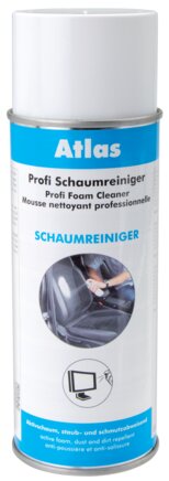 Exemplarische Darstellung: Schaumreiniger (Spraydose)